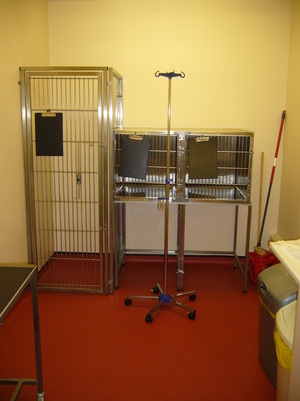 Barton Veterinary Centre Isolation Room