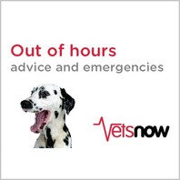 Barton Veterinary Centre VetsNow Afterhours care