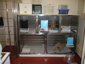 Barton Veterinary Centre Kennels 1